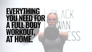 Black Swan Fitness - one box of equipment, endless possibilities