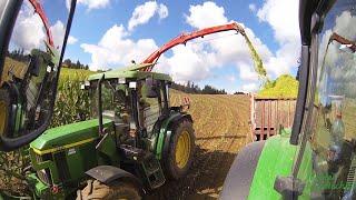 Ein Hirsch am kämpfen | Pöttinger Mex Profi-K | John Deere 6210