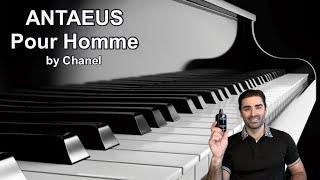 ANTAEUS Pour Homme by Chanel Fragrance Review