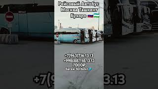 Москва-бухара автобус москва-ташкент автобус#москва #бухоро #ташкент #автобус #россия #узбекистан 