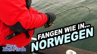 DORSCHINFERNO in NEUSTÄDTER BUCHT - SO geht FISCH SATT in der OSTSEE - Angelschule mit Jörg Ovens