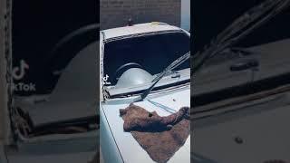 The best windscreen replacement company in Kenya(VICMOAUTOMOBILE)#viral#windscreen#kenya#youtube
