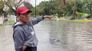 Se desborda lagunda de lagartos