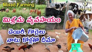 మిశ్రమ వ్యవసాయంతో ప్రతి రోజు ఆదాయం || Ideal Women in Mixed Farming with Live Stock || Karshaka Mitra