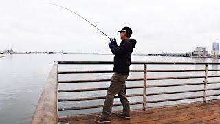 Slow Rolling Underspin (San Diego Bay Fishing)