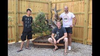 Whiskey Barrel Bonsai Benches