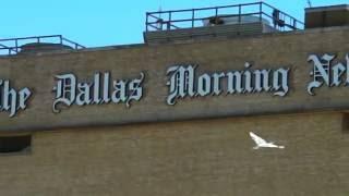 DALLASNEWS