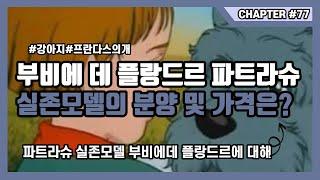 프란다스의 개 파트라슈 부비에 데 플랑드르 분양 및 가격은?