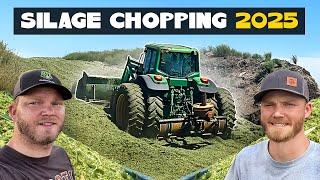 Silage Chopping 2025 | WHEATLAGE COW CHOW