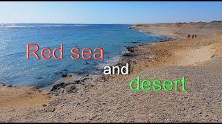 The beach of Red sea and desert.Abu Dabbab.Marsа Alam.Egypt