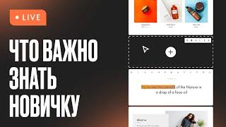 Создание сайта на Тильде — 08.04.2025