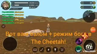 Как скачать взломанный The Cheetah + РЕЖИМ БОГА! (Симулятор гепарда онлайн)