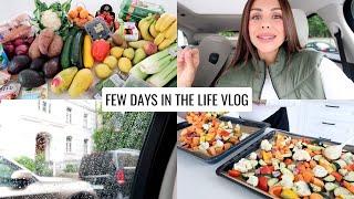 VLOG | Grocery Haul, Healthy Cooking & Cozy Days At Home | Annie Jaffrey
