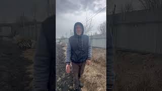 Когда открывать ежевику чтобы получать удовольствие от садоводства и процесса! #виноград #сад #дача