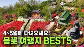 해외보다 더 이국적인 4~5월 봄꽃 여행지 BEST 5