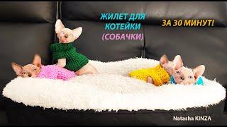 ЖИЛЕТ ДЛЯ ПИТОМЦА ЗА 30 МИНУТ!/ROPA PARA MASCOTAS/PET CLOTHES