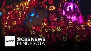 Jack-O-Lantern Spectacular returns to Minnesota Zoo