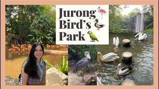 Jurong Bird’s Park Vlog