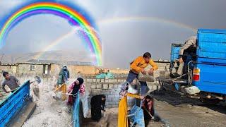 The efforts of the nomadic family, heavy rain and a beautiful rainbow in the nomadic sky