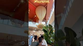 Niloufer cafe crazy trending in Hyderabad | tea store in Hyderabad | one stop for ￼ refreshment |