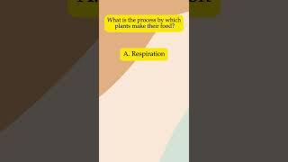 #write the  correct answer #quizzy