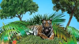 Paignton Zoo TV advert