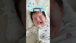 분유가 부족하면 나는 소리(아이 무게가 빠르게 늘고 있어서 의사선생님이 분유 늘리지말고 유지하라고 하셨다) #해솔#아기#baby#신생아#육아#신생아브이로그#아기브이로그#옹알이