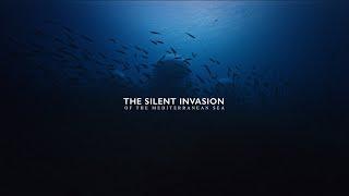 THE SILENT INVASION of the mediterranean sea (Full Documentary)