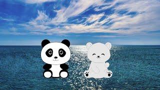 cutie and Pandy playing and falls in the sea !!!..