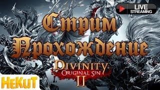 Divinity Original Sin 2 - Стрим Прохождение #1