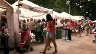 Yellow Daisy Festival at Stone Mountain Park