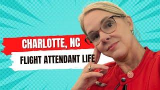 Flight Attendant in Charlotte, NC * Come Fly with Me