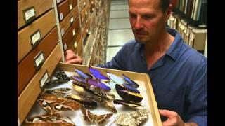 Berkeley Museums of Natural History