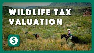 What is a Wildlife Tax Valuation?