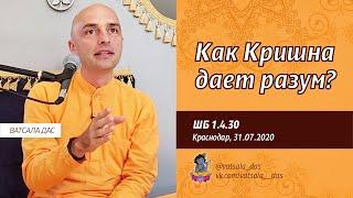 ШБ 1.4.30 Как Кришна дает разум? (Краснодар, 30.07.2020) Ватсала дас