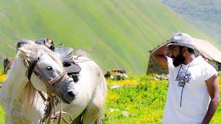 Part 1 Travel ,Trek of Truso Valley ,Georgia    @gypsykingvlogs  | GypsyKingVlogs |