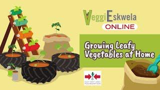 Episode 4: Growing Leafy Vegetables at Home