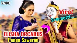 VIRAL LUCU || ELISHA ORCARUS PANEN SAWERAN LIMBUKAN GARENG PACITAN SEMPOL DADAPAN