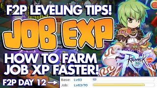 RAGNAROK M CLASSIC | Job XP Leveling Guide for F2P | FASTEST XP Farm! Tips & Tricks!