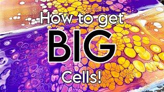 How to Get BIG Cells!