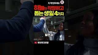 하늘이 돕는 천복을 타고난 생일
