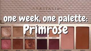 ONE WEEK, ONE PALETTE | Anastasia Beverly Hills Primrose