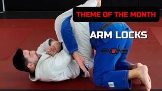 Jiu Jitsu Theme of the Month: Arm Locks