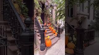 October magic in New York City