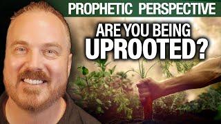 Transition: When God Uproots You, He’s Preparing to Plant You Somewhere Better | Shawn Bolz