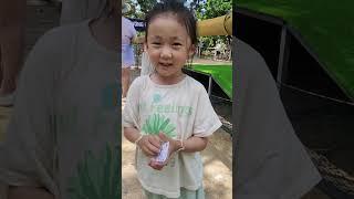 베트남 거위 경주