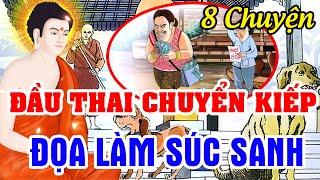 8 Chuyện Đ.ẦU TH.AI CHUYỂN KIẾP ĐỌA LÀM SÚC SANH Gieo Nhân Nào Gặt Quả Nấy | Chuyện Nhân Quả Báo Ứng