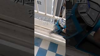 댓글에 ‘써보고 싶어요’ 라고 댓글을 달아주시면 추첨을 통해 행운의 한 분께 비쎌 스팀청소기를 드릴께요 #이벤트 #댓글이벤트 #살림템 #청소꿀팀 #스팀청소기 #집들이선물