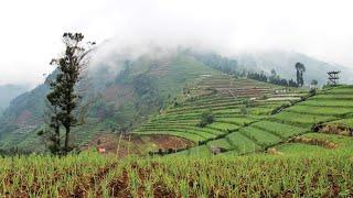 Update Jalan - Jalan Ke Dieng di Suasana Terbaru !!