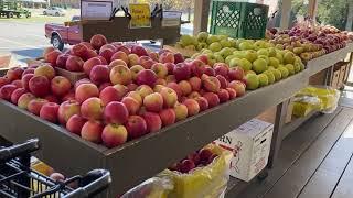 Fifer Orchard's Farm Store